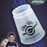 PS2 Flyer
